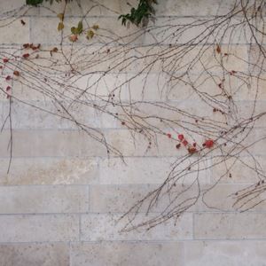 Meet your Posher, Judy